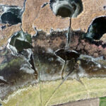 sicakligin eksi 8 dereceye dustugu edirnede tunca nehri ve golet buz tuttu efac0615632d