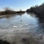 sicakligin eksi 8 dereceye dustugu edirnede tunca nehri ve golet buz tuttu f84f71e529b1