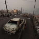 silide meydana gelen orman yanginlarinda 18 kisi hayatini kaybetti a126d71995f6