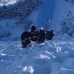 tuncelide kar kalinligi 2 metreyi asti 27 koy yolu kapali 3 73786321a81a