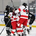 u18 kadin buz hokeyi milli takimi yeni zelandayi 3 1 yendi d20613f5b2b0