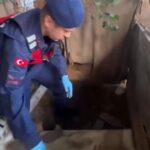 uyusturucuyu kumese gommus 053b3f8758b1