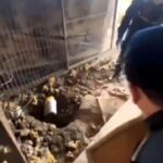 uyusturucuyu kumese gommus 4bfe6011c732