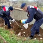 uyusturucuyu kumese gommus 54f31387ce22