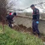 uyusturucuyu kumese gommus 71e5b8b6ecd4