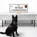 vanda iran uyruklu yolcu 510 gram eroin ile yakalandi b670246a567f