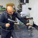 yarali halde bulup tedavi ettirdigi karga is yerinde yanindan ayrilmiyor 62f96830d075