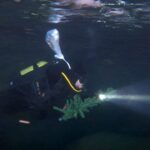 yeni yili su alti magarasinda karsiladilar e4a0f3ddaf64