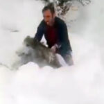 yolda onune cikan yaban domuzunu elleriyle yakalayan surucu kimse denemesin 5f3b72afc7e0