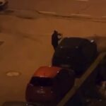 alkollu oldugu iddia edilen kadin araclarin sileceklerini kirdi 42fba372e198