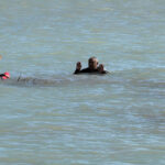 antalyada baski yapildigi ileri suren belediye iscisi bogacayina atladi f8bbcd93a4ae