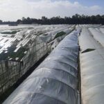 antalyada saganak hayati olumsuz etkiledi 3 7687902d2913