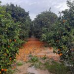 antalyada saganak hayati olumsuz etkiledi 3 946094880a73