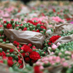 Antalya'dan 'Sevgililer Günü' için Avrupa'ya 75 milyon dal çiçek 7 antalyadan sevgililer gunu icin avrupaya 75 milyon dal cicek ff00407966a9