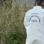 Aydın'da evlerinde ölü bulunan çiftin cinayet şüphelisi hurdacı çıktı 9 aydinda evlerinde olu bulunan ciftin cinayet suphelisi hurdaci cikti bca2d4bb38f6