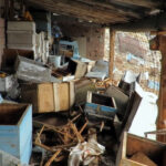 ayi tarihi hanaylara girip ballari yedi aricilar yardim istedi 1dbeacf999b1