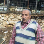 ayi tarihi hanaylara girip ballari yedi aricilar yardim istedi b182ee37bae3