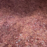 baharat sektoru tagsise cok acik 8e58922d2fd8