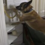 bursa merkezli 4 ilde uyusturucu operasyonu 84 tutuklama dcc201714acf