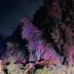 bursada mahalle yolu heyelan nedeniyle ulasima kapandi 61e3f2920298