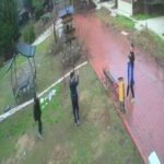 Dinozor Park’ta kuş yuvalarının parçalanmasına tepki 2 dinozor parkta kus yuvalarinin parcalanmasina tepki 899cec0798b2