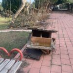 Dinozor Park’ta kuş yuvalarının parçalanmasına tepki 5 dinozor parkta kus yuvalarinin parcalanmasina tepki 921816ba2759