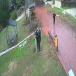 Dinozor Park’ta kuş yuvalarının parçalanmasına tepki 1 dinozor parkta kus yuvalarinin parcalanmasina tepki bed13a7fa2d4