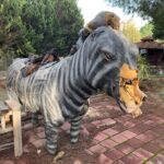 Dinozor Park’ta kuş yuvalarının parçalanmasına tepki 8 dinozor parkta kus yuvalarinin parcalanmasina tepki c079c11566f5