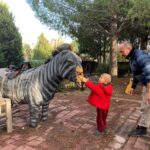 Dinozor Park’ta kuş yuvalarının parçalanmasına tepki 7 dinozor parkta kus yuvalarinin parcalanmasina tepki d9a837895f75