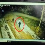 diyarbakirda 13 gundur kayip olarak aranan kadinin cansiz bedeni bulundu a381faa8aaf7