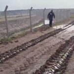 diyarbakirda 13 gundur kayip olarak aranan kadinin cansiz bedeni bulundu fc9987e24720