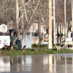 edirnede nehirlerin debileri dususe gecti 1947728ec914