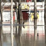 edirnede nehirlerin debileri dususe gecti 38f42fefae68