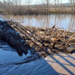 edirnede nehirlerin debileri dususe gecti 58f67230c82e