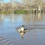 edirnede nehirlerin debileri dususe gecti fe0a55307089