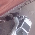 eski esini darbetti kendimi savunurken parmagim kirildi diyerek sikayetci oldu 124426d9ef75