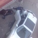 eski esini darbetti kendimi savunurken parmagim kirildi diyerek sikayetci oldu ade4c1f5cbf9