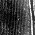 evinin onundeki pusuda oldurulmustu 5 supheli yakalandi e793a24a9ff8