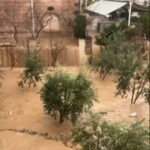 Hatay'da şiddetli sağanak sele neden oldu; araçlarında mahsur kalanlar iş makineleriyle kurtarıldı 2 hatayda siddetli saganak sele neden oldu araclarinda mahsur kalanlar is makineleriyle kurtarildi 5b0ea015a91b