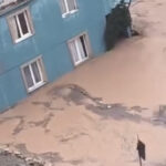 Hatay'da şiddetli sağanak sele neden oldu; araçlarında mahsur kalanlar iş makineleriyle kurtarıldı 5 hatayda siddetli saganak sele neden oldu araclarinda mahsur kalanlar is makineleriyle kurtarildi cac66d7d708c