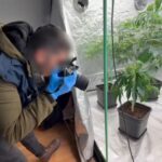 İstanbul - Avcılar'da uyuşturucu imalathanesine operasyon: 2 gözaltı 3 istanbul avcilarda uyusturucu imalathanesine operasyon 2 gozalti 10e988516c01