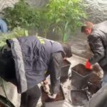 İstanbul - Avcılar'da uyuşturucu imalathanesine operasyon: 2 gözaltı 6 istanbul avcilarda uyusturucu imalathanesine operasyon 2 gozalti 2f530f88e41d