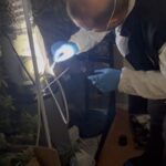 İstanbul - Avcılar'da uyuşturucu imalathanesine operasyon: 2 gözaltı 4 istanbul avcilarda uyusturucu imalathanesine operasyon 2 gozalti c9947f644587