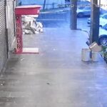 istanbul beylikduzunde is yerinin onundeki turk bayragi indirildi polis kameradaki supheliyi ariyor 4ec306b70455