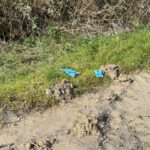 istanbul cinli is insani cinayetinde yeni goruntuler ortaya cikti ek bilgi 2f8b1c3ebcd4