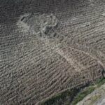 istanbul cinli is insani cinayetinde yeni goruntuler ortaya cikti ek bilgi 665fa2efc3d9