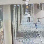 istanbul cinli is insani cinayetinde yeni goruntuler ortaya cikti ek bilgi 7547fac2524a