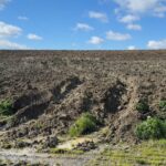 istanbul cinli is insani cinayetinde yeni goruntuler ortaya cikti ek bilgi d20048708c8f