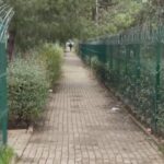 istanbul esenyurtta site bahcesinde karsilastigi husumetlisini silahla oldurdu 63e6771e8ca4