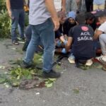 İstanbul- Kartal’da 6 ay önce üzerine ağaç devrilen oyuncu İbrahim Yıldız hayatını kaybetti 3 istanbul kartalda 6 ay once uzerine agac devrilen oyuncu ibrahim yildiz hayatini kaybetti 1c687e4d94af